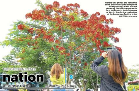 La Union judge admonished over social media posts.